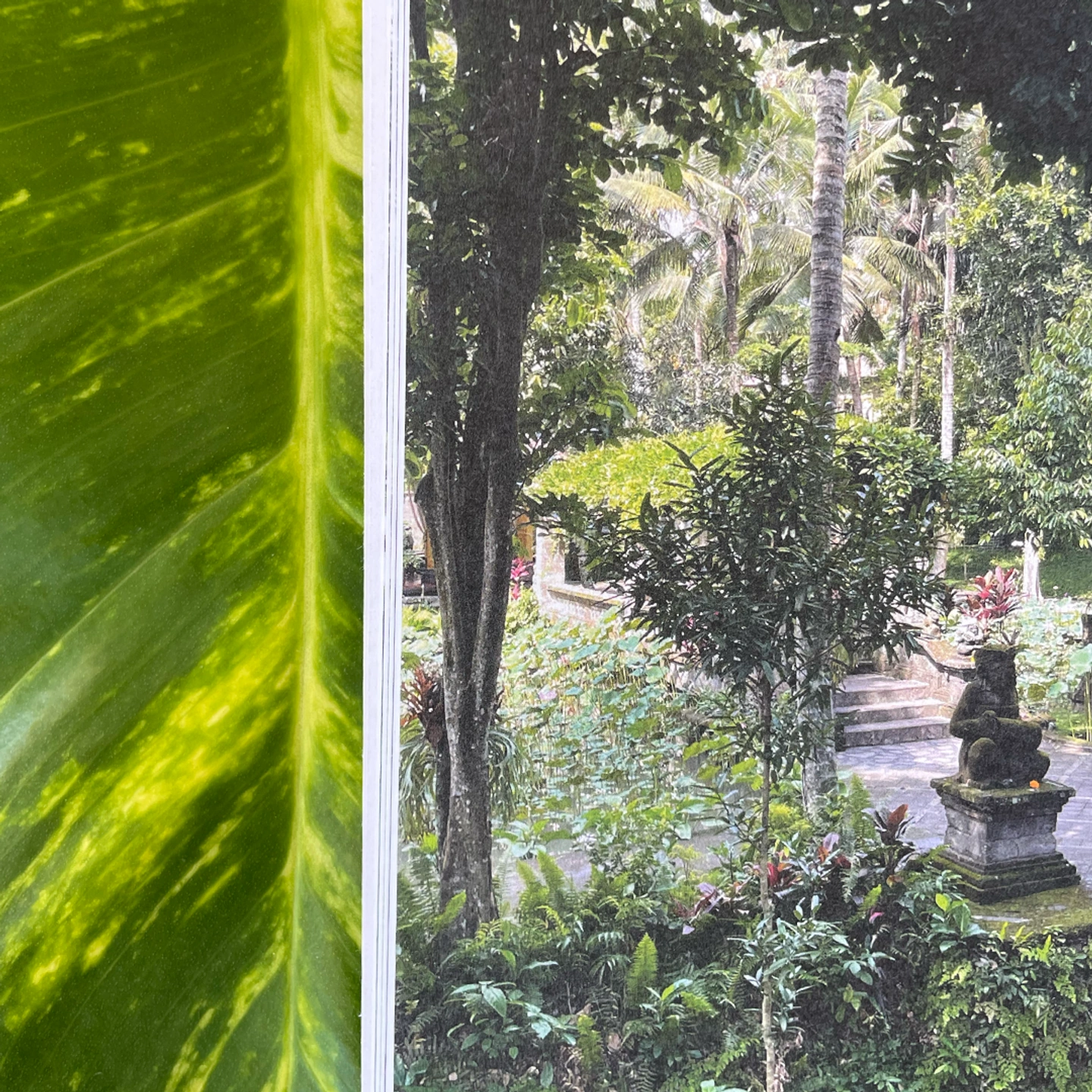 Threads of Creation — Buchspread